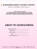 💰 Quinceañera Budget & Payment Tracker